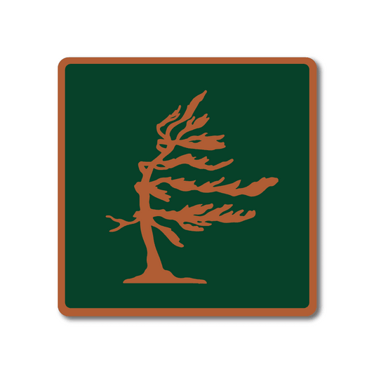 Pine Tree Mini Metal Sign